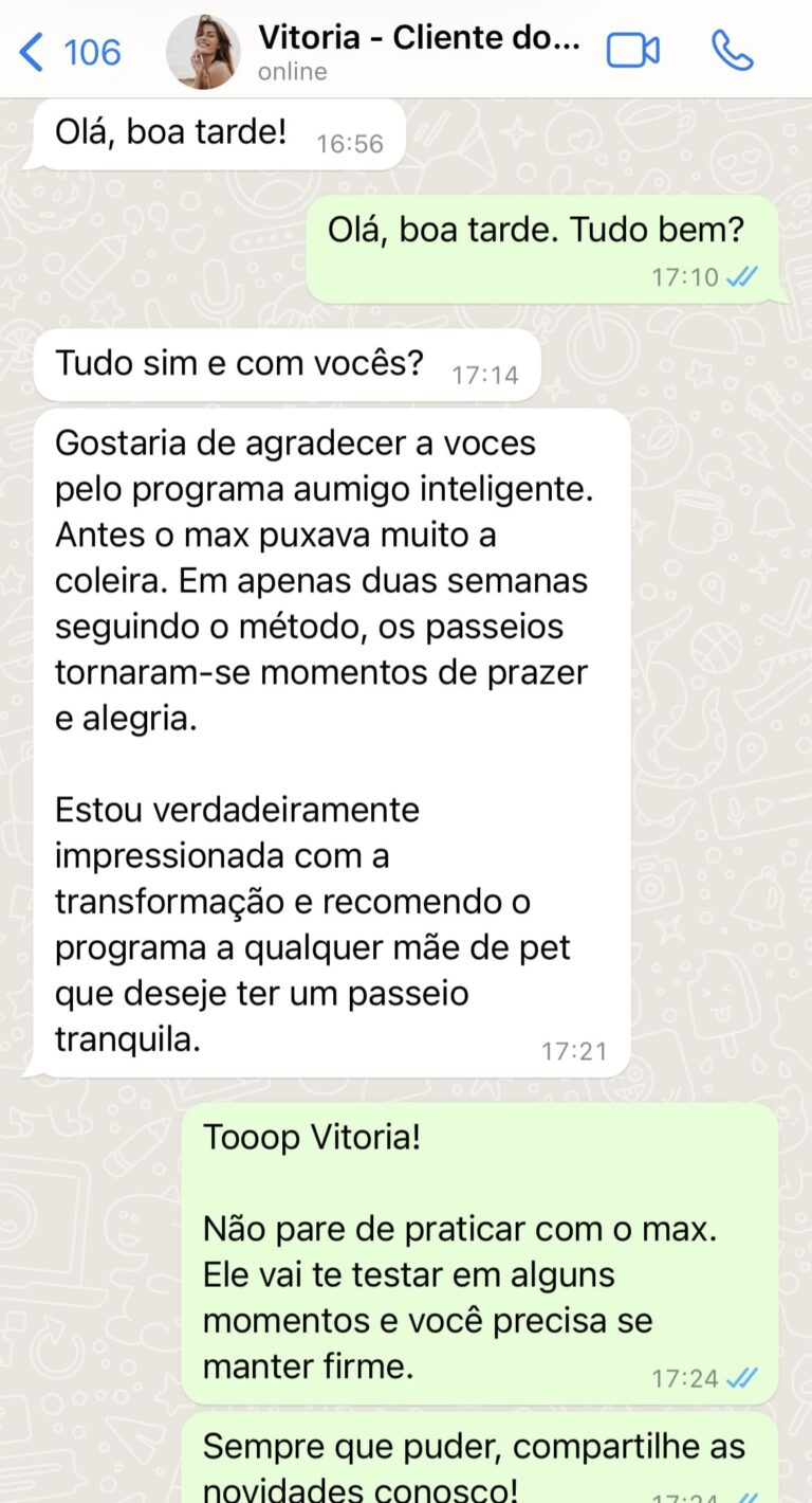 feedbackvitoria