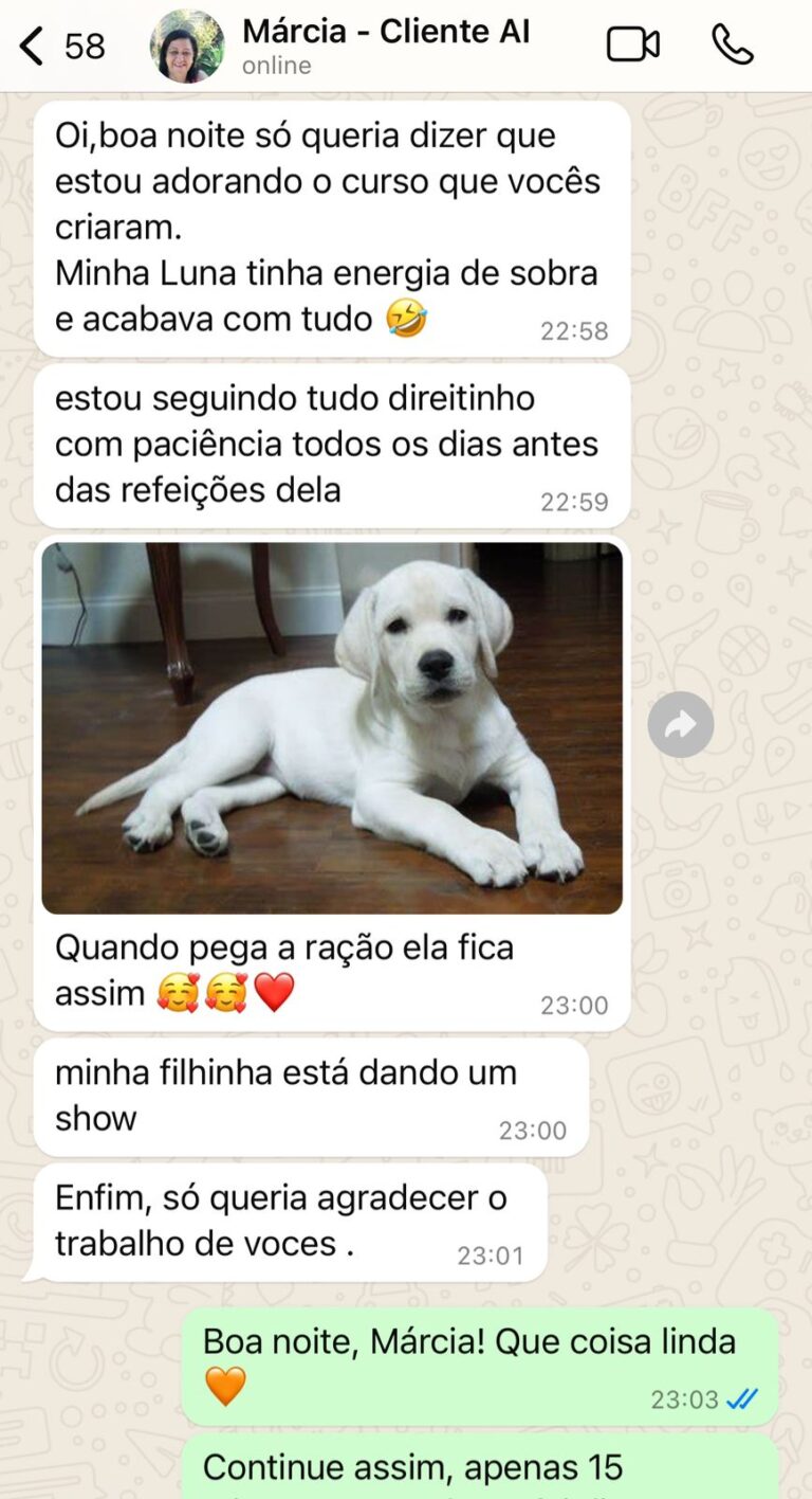 depoimento marcia